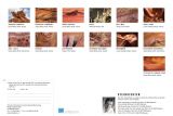 kalender_steinsichten_2010_14