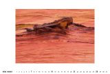 kalender_steinsichten_2010_4
