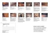 kalender_steinsichten_2007_26